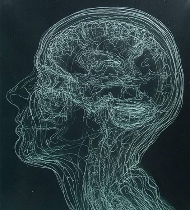 El silenci en entorns biològics
